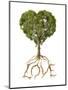 Tree with Foliage in the Shape of a Heart with Roots as Text Love-null-Mounted Art Print