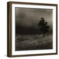 Tree With Sheep, Mist and Low Cloud-Fay Godwin-Framed Giclee Print