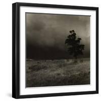 Tree With Sheep, Mist and Low Cloud-Fay Godwin-Framed Giclee Print