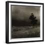 Tree With Sheep, Mist and Low Cloud-Fay Godwin-Framed Giclee Print