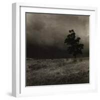 Tree With Sheep, Mist and Low Cloud-Fay Godwin-Framed Giclee Print