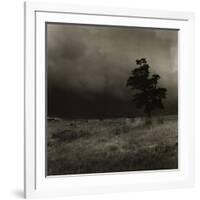 Tree With Sheep, Mist and Low Cloud-Fay Godwin-Framed Giclee Print