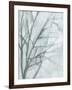 Tree with White Sky II-Jennifer Goldberger-Framed Art Print