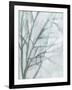 Tree with White Sky II-Jennifer Goldberger-Framed Art Print