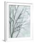 Tree with White Sky II-Jennifer Goldberger-Framed Art Print