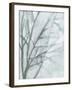 Tree with White Sky II-Jennifer Goldberger-Framed Art Print