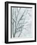 Tree with White Sky II-Jennifer Goldberger-Framed Art Print