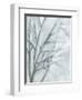 Tree with White Sky II-Jennifer Goldberger-Framed Art Print