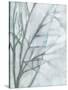 Tree with White Sky II-Jennifer Goldberger-Stretched Canvas