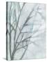 Tree with White Sky II-Jennifer Goldberger-Stretched Canvas