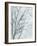 Tree with White Sky II-Jennifer Goldberger-Framed Art Print