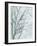 Tree with White Sky II-Jennifer Goldberger-Framed Art Print