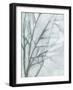 Tree with White Sky II-Jennifer Goldberger-Framed Art Print