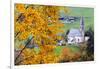 Tree with yellow leaves with the church of Santa Magdalena in the background, Funes Valley, Sudtiro-Francesco Bergamaschi-Framed Photographic Print