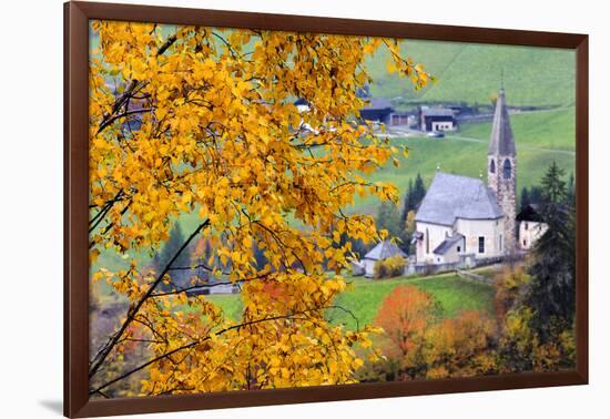 Tree with yellow leaves with the church of Santa Magdalena in the background, Funes Valley, Sudtiro-Francesco Bergamaschi-Framed Photographic Print