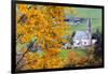 Tree with yellow leaves with the church of Santa Magdalena in the background, Funes Valley, Sudtiro-Francesco Bergamaschi-Framed Photographic Print