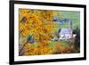 Tree with yellow leaves with the church of Santa Magdalena in the background, Funes Valley, Sudtiro-Francesco Bergamaschi-Framed Photographic Print