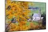 Tree with yellow leaves with the church of Santa Magdalena in the background, Funes Valley, Sudtiro-Francesco Bergamaschi-Mounted Photographic Print