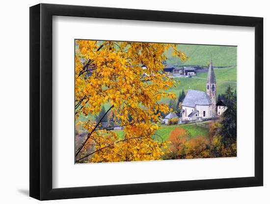 Tree with yellow leaves with the church of Santa Magdalena in the background, Funes Valley, Sudtiro-Francesco Bergamaschi-Framed Premium Photographic Print