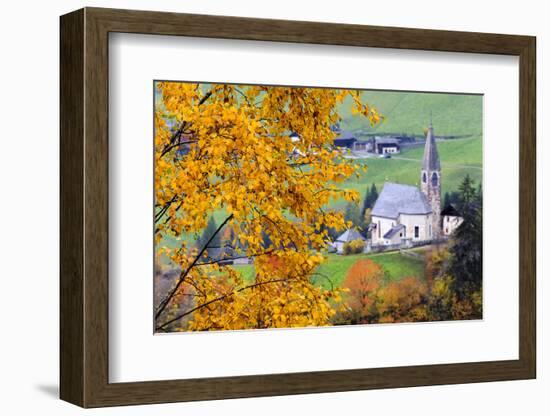 Tree with yellow leaves with the church of Santa Magdalena in the background, Funes Valley, Sudtiro-Francesco Bergamaschi-Framed Photographic Print