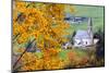 Tree with yellow leaves with the church of Santa Magdalena in the background, Funes Valley, Sudtiro-Francesco Bergamaschi-Mounted Photographic Print