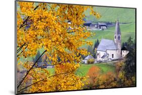 Tree with yellow leaves with the church of Santa Magdalena in the background, Funes Valley, Sudtiro-Francesco Bergamaschi-Mounted Photographic Print