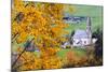 Tree with yellow leaves with the church of Santa Magdalena in the background, Funes Valley, Sudtiro-Francesco Bergamaschi-Mounted Photographic Print