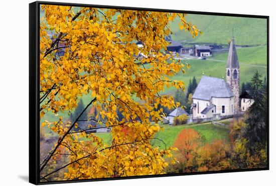 Tree with yellow leaves with the church of Santa Magdalena in the background, Funes Valley, Sudtiro-Francesco Bergamaschi-Framed Stretched Canvas