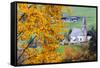 Tree with yellow leaves with the church of Santa Magdalena in the background, Funes Valley, Sudtiro-Francesco Bergamaschi-Framed Stretched Canvas