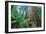 Tree World John Muir Woods, California Coast Marin California-Vincent James-Framed Photographic Print