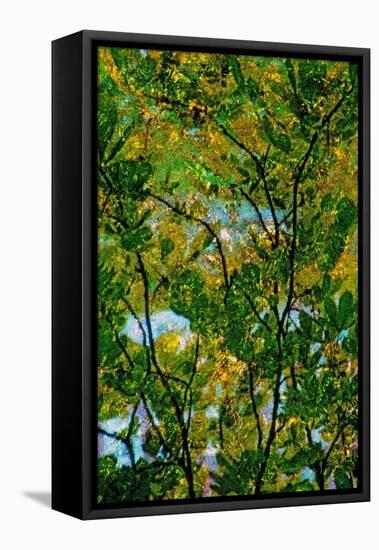 Tree-Andr? Burian-Framed Stretched Canvas