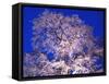 Tree-WizData-Framed Stretched Canvas