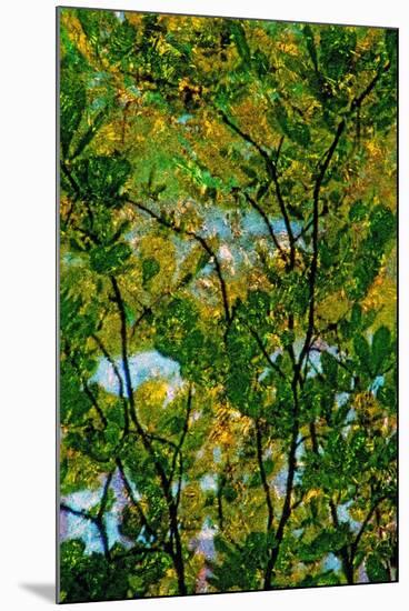 Tree-Andr? Burian-Mounted Photographic Print