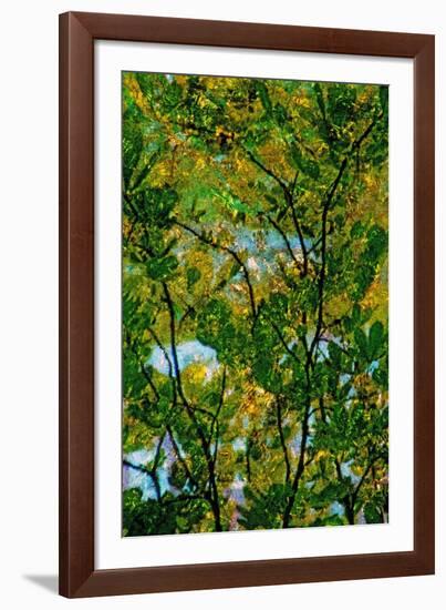 Tree-Andr? Burian-Framed Photographic Print