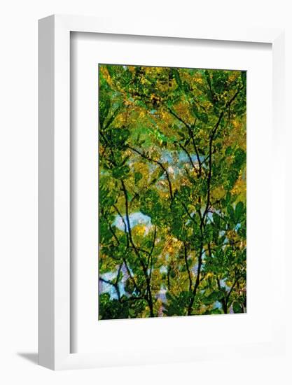 Tree-Andr? Burian-Framed Photographic Print