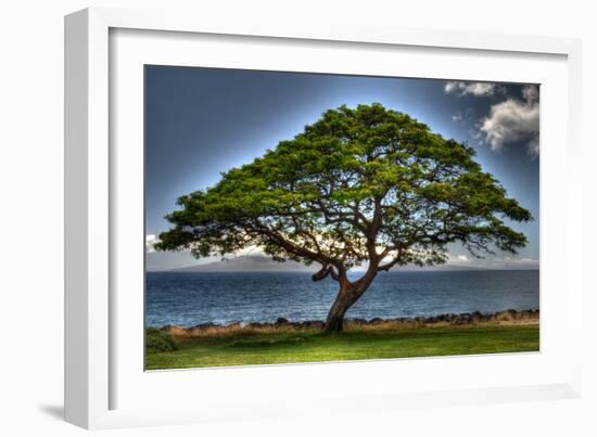 Tree-Robert Kaler-Framed Photographic Print