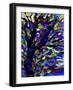 Tree-Diana Ong-Framed Giclee Print