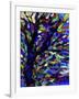 Tree-Diana Ong-Framed Giclee Print