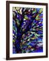 Tree-Diana Ong-Framed Giclee Print