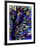 Tree-Diana Ong-Framed Giclee Print