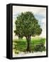 Tree-Sarah Thompson-Engels-Framed Stretched Canvas