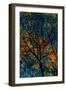 Tree-Andre Burian-Framed Giclee Print