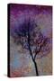 Tree-Andre Burian-Stretched Canvas