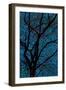 Tree-Andre Burian-Framed Giclee Print