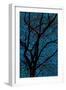 Tree-Andre Burian-Framed Giclee Print