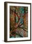 Tree-Andre Burian-Framed Giclee Print