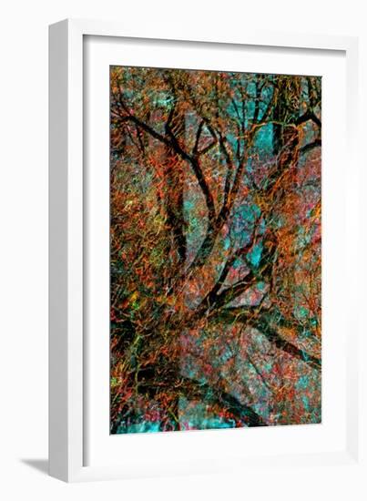 Tree-Andre Burian-Framed Giclee Print