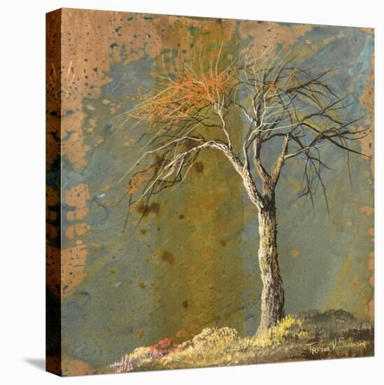 Tree-Trevor V. Swanson-Stretched Canvas