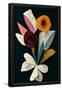 Essential Black