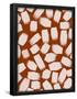 Essential Black